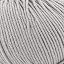 Light Gray | 20741