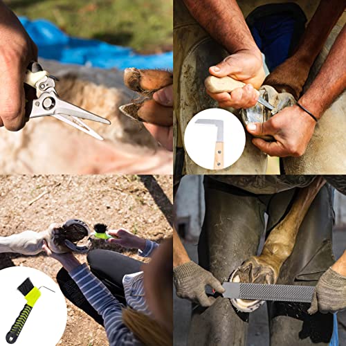 Horses Farrier Hoof Tool Kit 16 Inch Horseshoe Pliers Rasp Hoof