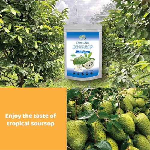 Image of CHAVI Freeze-Dried Soursop - 2 Oz - Healthy 1 Ingredient Superfood - No Added Sugars or Preservatives - Non-GMO, Vegan, Gluten-Free