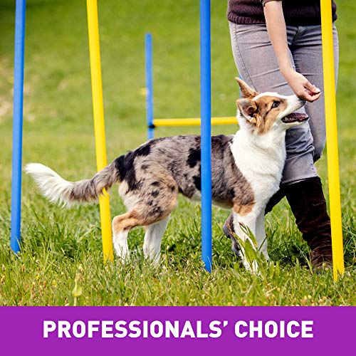 Cloud Star Chewy Tricky Trainers, Liver Flavor, 14-Ounce Pouch #TOP5