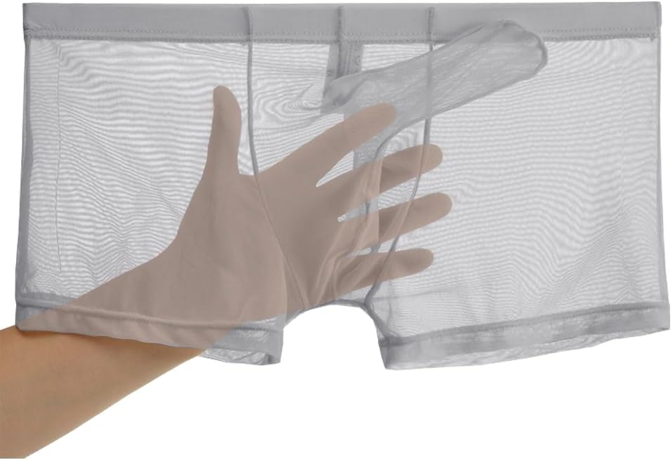 Men's See Through Mesh Trunks Underwear Seperate Elephant Nose Boxer Briefs