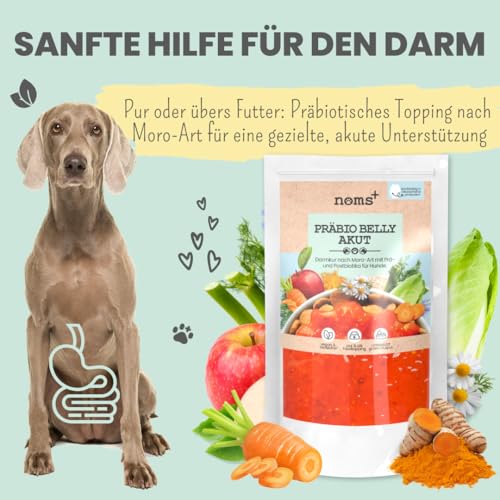 noms+ Präbio Belly Akut Topping für Hunde | 6X 200g | Pflanzliche Schonkost bei Magen-Darm-Beschwerden | mit Karotte nach Moro-Art | Präbiotika für eine gesunde Darmflora - Ready to eat