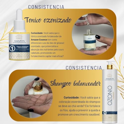 Kit Ultra Reparação Capilar Power Whey Amazon Essence para Cabelos Danificados, 4 Produtos