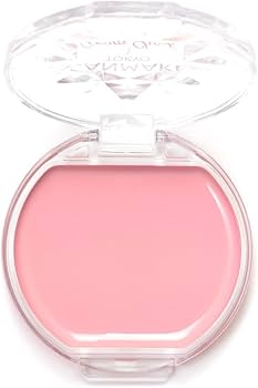 ROHTO ピンク クリームチーク Peter＆Wendy Collection) Be My Wendy Melting Blusher｜Dinto