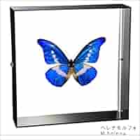 51eD4sSaxkL._AC_SY200_QL15_.jpg