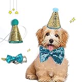 Diseño de lentejuelas: el sombrero de cumpleaños usa lentejuelas doradas y azules para combinar, lo cual es moderno y hermoso. La pajarita está diseñada con lentejuelas azules. Las lentejuelas brillarán más al sol y harán que tu mascota sea más deslumbrante.