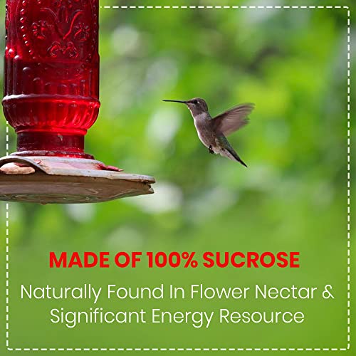 Happy Wings HUMMINGBIRD Nectar Powder Concentrate thumb #4