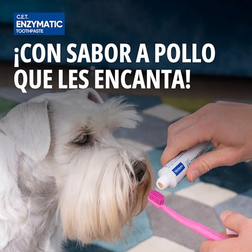 CET KIT CEPILLO + DENTIFRICO ENZIMATICO 70GR