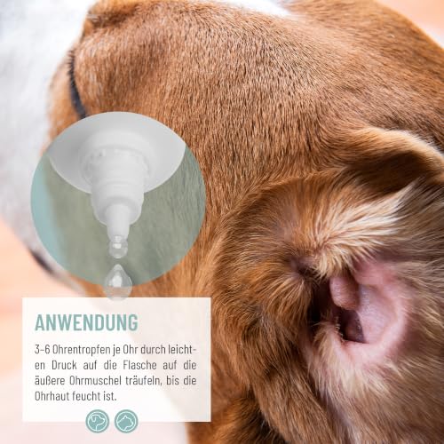 ReaVET Ohrentropfen SEHR GUT verträglich für Hunde und Katzen 50 ml – mit kolloidalem Silber und Aloe Vera – Ansicht 3