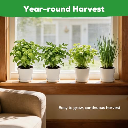 PLANTMEW Indoor Herb Garden Starter Kit - Mothers Day Gifts - 4 Non GMO, Heirloom Culinary Herb Seeds, Unique Gardening Gift for Women, Mom, Her, Birthday, Housewarming, Plant Lovers - Image 6