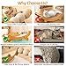 FUNACAY Cat Scratch Pad with Replacement Scratching Felt, Large Cat Scratcher Bed Hammock Lounge for Scratching Pad, Protects Furniture,Kittens Gifts