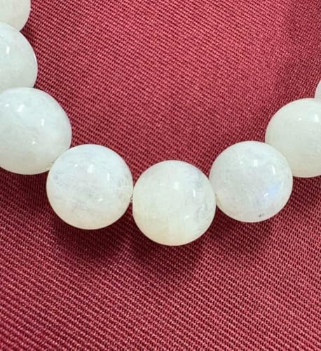 Ő  p[Xg[ GXjbN AWA ANZT[ uXbg