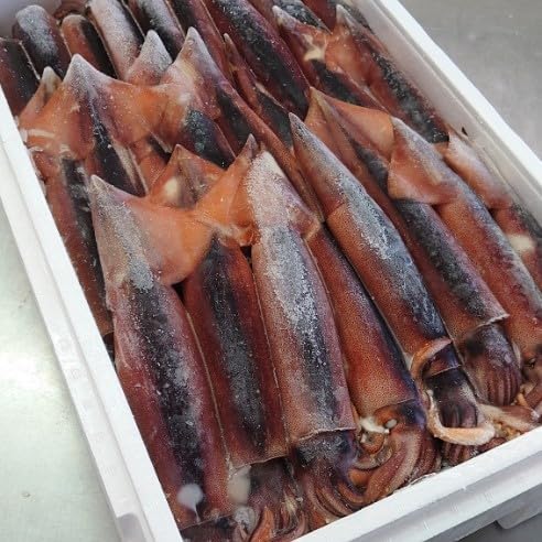   Z[ II Nxǂ I Ⓚ߂ 25t   X XY O 1t  200g VNȐⓀɂ܂IIhg, 񉖐hɂœKNxłB CJ G ߂ ^ CJ hg h X kC