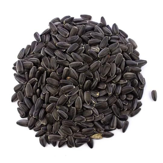 SkySprouts Sunflower Microgreens Seeds - Black Oil, 500g 500g - Non-GMO |High Germination