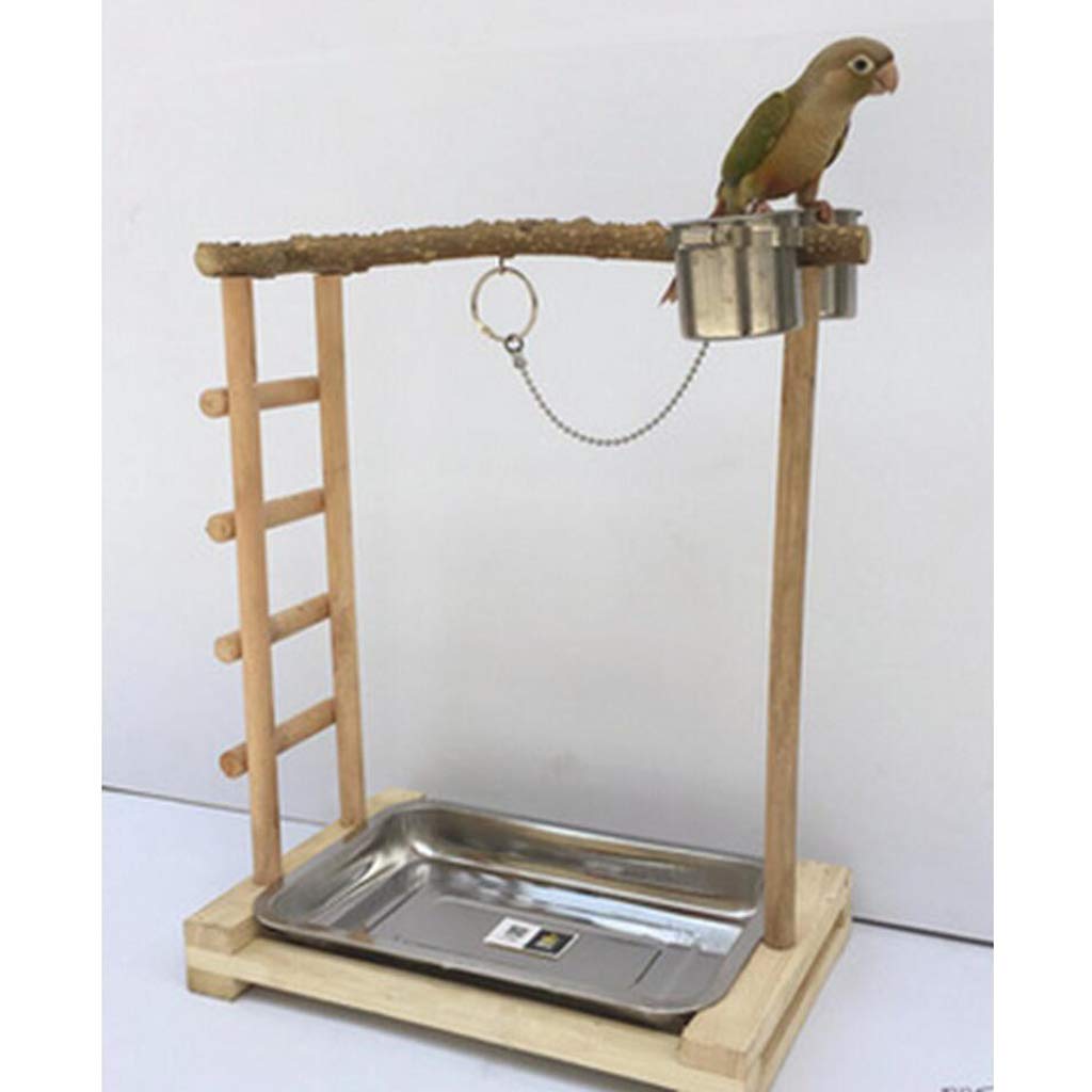 Oiseau Perchoir Plate-Forme en Bois avev 2 Bol Rack Hamster Support de Maintien pour Escalade