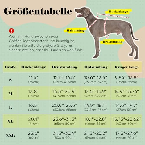 Illumifun Smokinganzug und Bandana-Set, eleganter Hunde-Hochzeitsparty-Anzug mit Fliege, Hemd, Weste, Haustier-Smoking-Kostüm mit abnehmbarem Fliegenkragen (S)