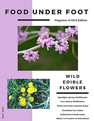 Food Under Foot Magazine of Wild Edibles: May 2021