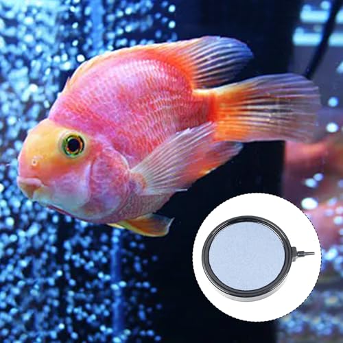 Image of Utoolmart 5 Inch Aquarium Air Stone Disc for Fish Tank Pump | Fine Bubble Diffusion, Durable Mineral Material, Fits Most Air Pumps, Suitable for Aquariums, Ponds, Hydroponics