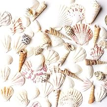Super Z Outlet Mixed Ocean Beach Fairy Garden Assorted Seashells Marine Life for Decorations, Arts & Crafts, Party Favors Collection Approx. 50 Pieces