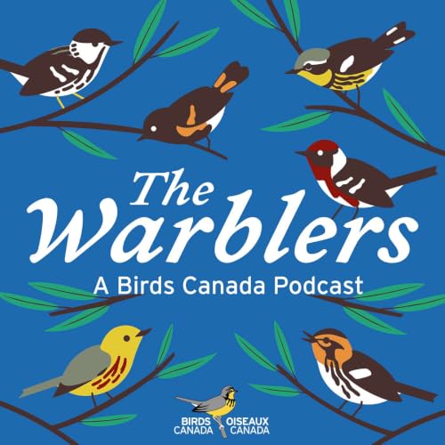 『The Warblers by Birds Canada』のカバーアート
