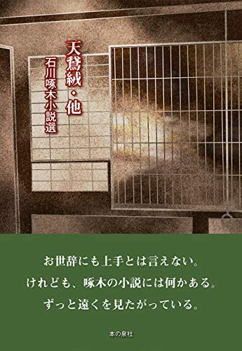 天鵞絨･他　石川啄木小説選