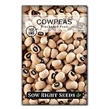 Sow Right Seeds - Black Eyed Cowpea Seeds for Planting - Non-GMO Heirloom Packet with Instructions to Plant a Home Vegetable Garden - Old Fashioned Bush Bean Variety - Extra Lucky (1)