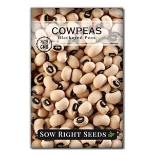 Sow Right Seeds – Black Eyed ...