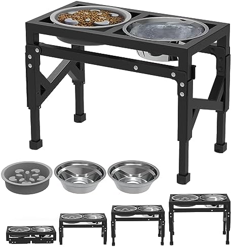 Double Diner Elevated Dog Bowls Petsmart Petsmart Elevated Dog