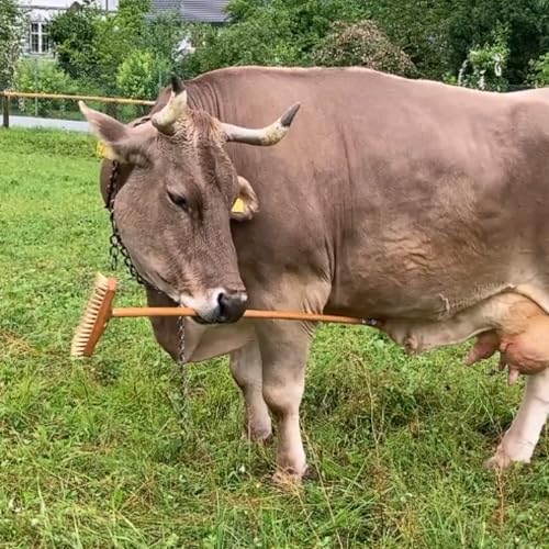 Cosas que no sab&iacute;amos