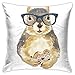 Almohada Caso Estampado De Ardilla Ardilla Nerd Espolvorear Donut Gafas Hipster Fundas De Cojín Coloridas Throw Pillow Case Sencillo Cojin Fundas 45X45Cm para Cama, Hogar, Dormitorio