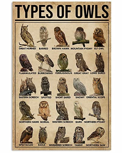 Affiche MAMOOR Types de hiboux, décoration d'intérieur, impression artistique, cadeau multi-tailles, panneau mural, décoration artistique rétro pour maison, chambre, bar, café, ferme, 20,3 x 30,5 cm,