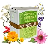Medicinal & Herbal Tea Indoor Herb Garden Starter Kit - Basic Herb Seeds for Planting - 6 Non-GMO...