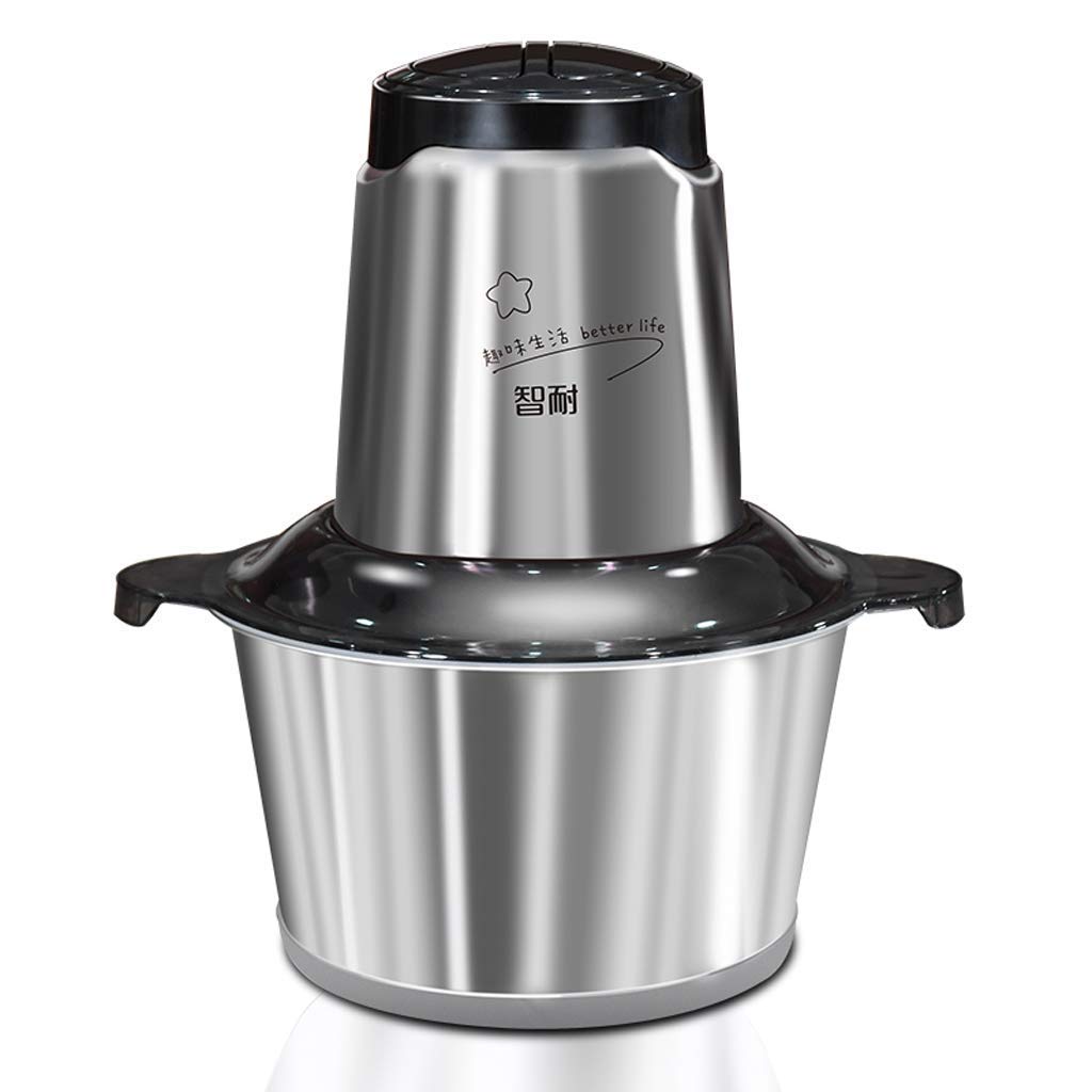 Buy ZYLYL Meat GrinderMincer Machines Electric Food Processor,Mini