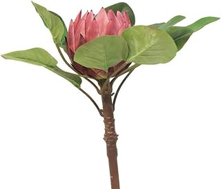 Protea artificielle, spéciale grande taille, H 84 cm - BEST