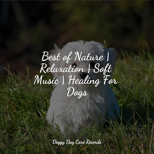 Amazon.co.jp Best of Nature Relaxation Soft Music Healing For
