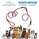 Hundeleine zum Laufen, Spazierengehen, Training, Crossbody-Doppel-Leine, 1,2 cm dickes Nylon, reflektierend, strapazierfähig, für kleine, mittelgroße und große Hunde, Rosa