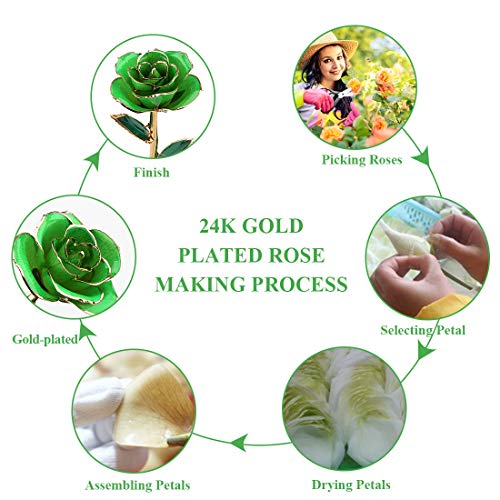Zjchao 24K Green Rose For Her, Eternal Eternity Love Real Gold Plated Rose Flower, Best Present For Wife/Mom/Girlfriend Anniversary, Wedding, Birthday, Graduation (Green) #TOP6