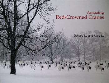Paperback Amazing Red-Crowned Cranes Book