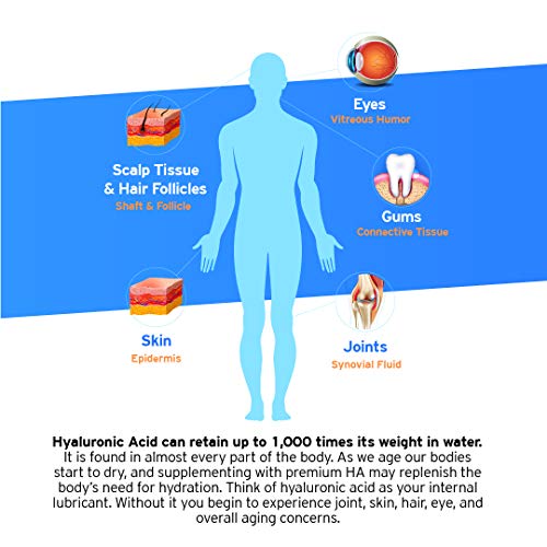 Hyalogic Ha Lip Balm Stick W/ Hyaluronic Acid (Pack Of 4) | Episilk's Hydrating Moisturizing Balm Tube For Plump, Healthy Lips - No Parabens, Fragrance Free, Unflavored 0.15Oz / 4.25 G #TOP5
