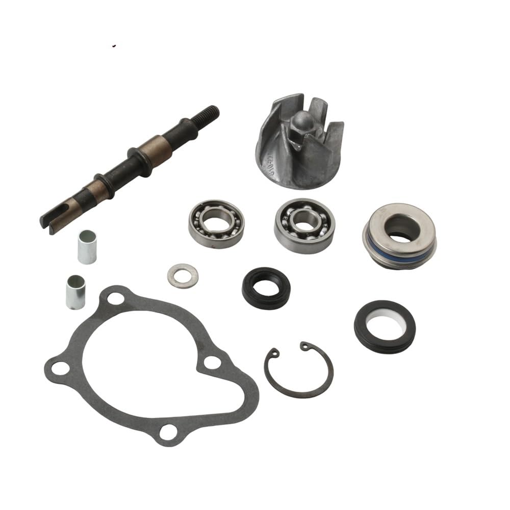 Pompa Acqua Gruppo Pompa Per kit pompa acqua Kymco Repair | Ego BW Gran Dink People S X-Citing 250cc 300cc 100110460 Ego250 Dink250