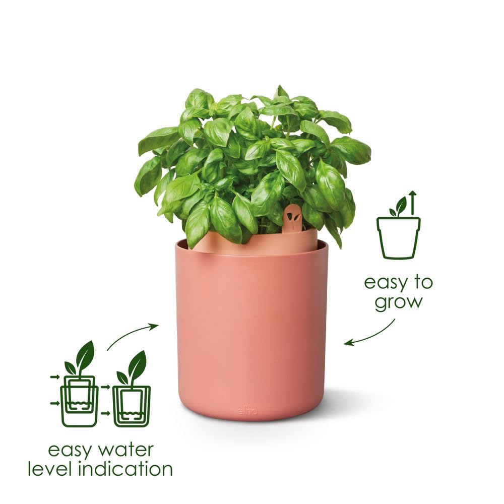 elho Bouncy Basil 16, Self Watering Plant Pot for indoor, Herb Planter made of 100% recycled plastic - Image 2