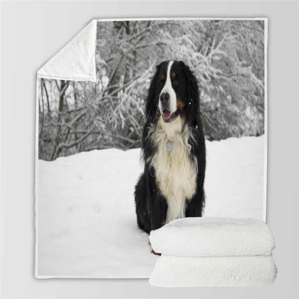 Douce Flanelle Couverture Polaire 3D Chien Montagne Bernois Microfibre Fluffy Couverture de literie 2 Personne Chien Compagnie Enfant Adultes Fille Garcon Sherpa Couverture de canapé 150x200cm