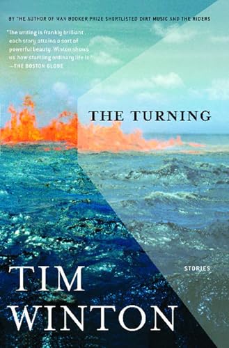 The Turning: Stories
