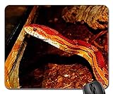 【Ausgezeichnetes Gaming-Mauspad】: Premium-Mauspad-Matte hat starke Haftung, Haltbarkeit, grünen Umweltschutz, präzise Verriegelung, keine Verformung auf dem Desktop, dickes Design, komfortablere Bedienung, es kann effektiv verhindern, dass Maus und Tastatur rutschen und sich bewegen.