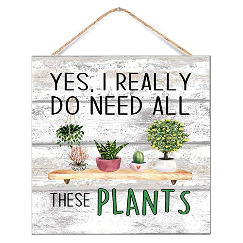 Plaque murale en bois de 30,5 cm avec plantes succulentes et inscription pour décoration intérieure