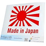 INDIGOS UG