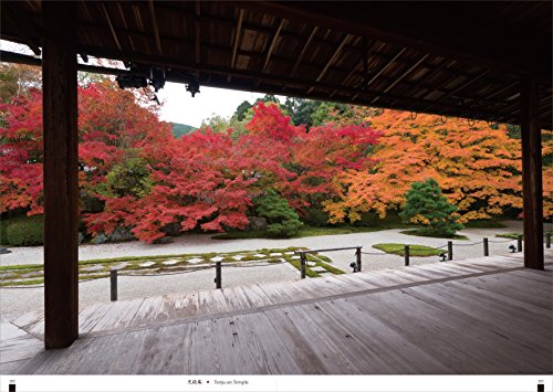 Soul Legacy of Kyoto: Amazing Seasonal Transition in Ancient City – vue 6