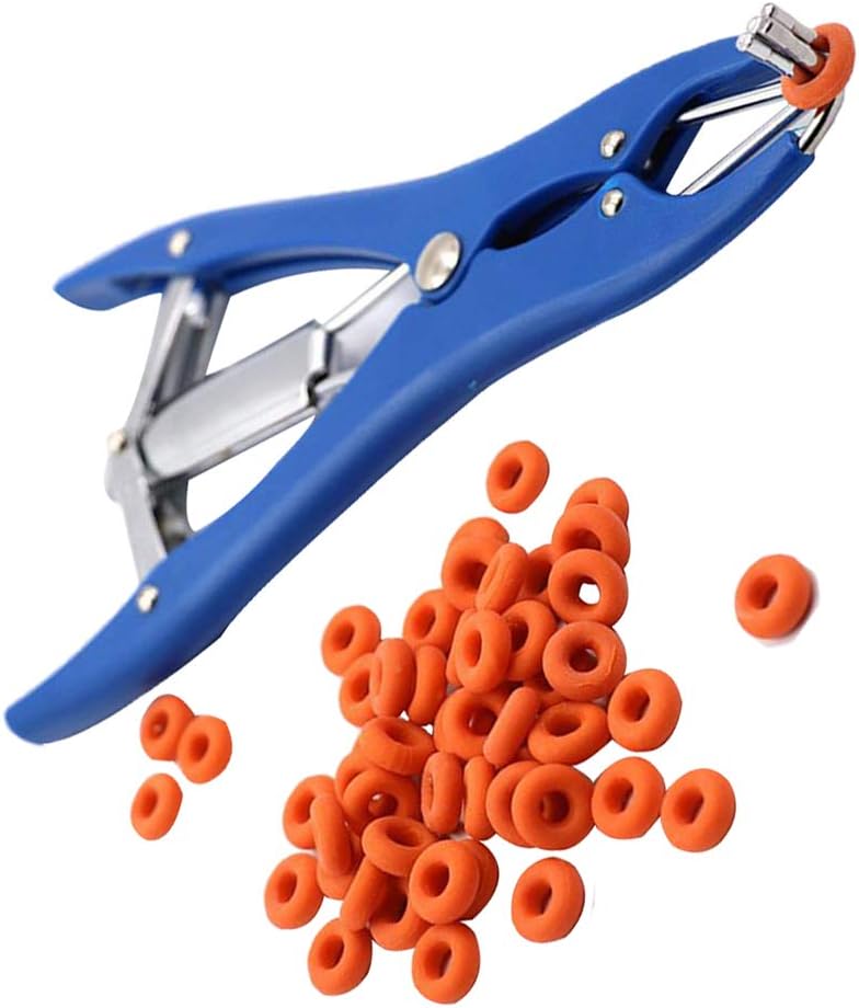 frantoio per barattoli di cibo per cani