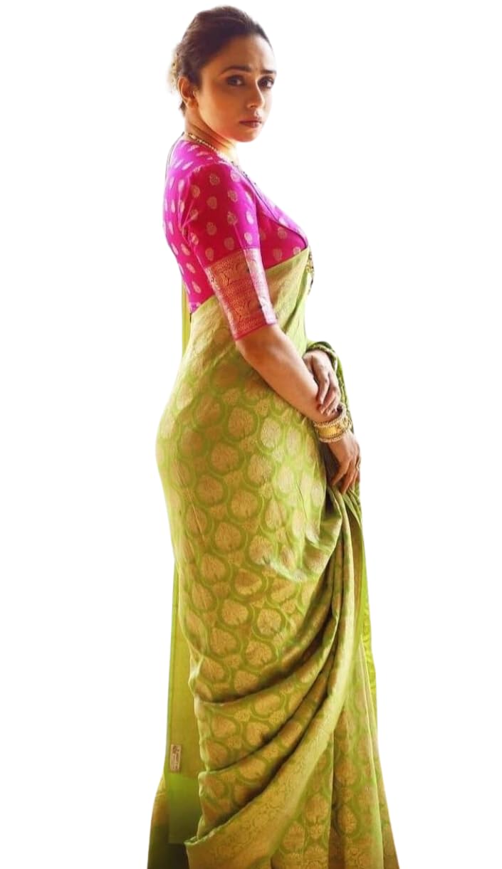 C J Enterprise Women's Kanjivaram Soft Silk Saree for Wedding Banarasi Style With Blouse Piece (BS-17 paithani)