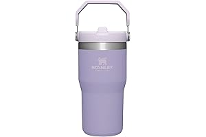 STANLEY IceFlow Vacuum Insulated Dark Purple Tumbler with Straw